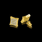 Zircon-encrusted Stud Earrings